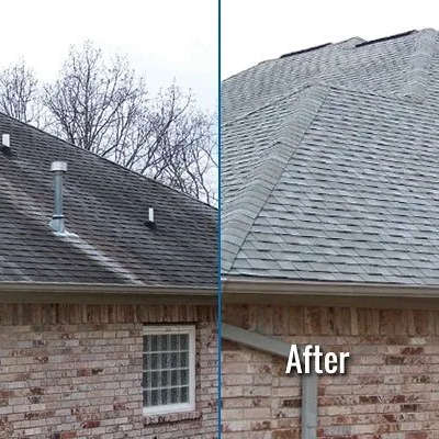 roof cleaning